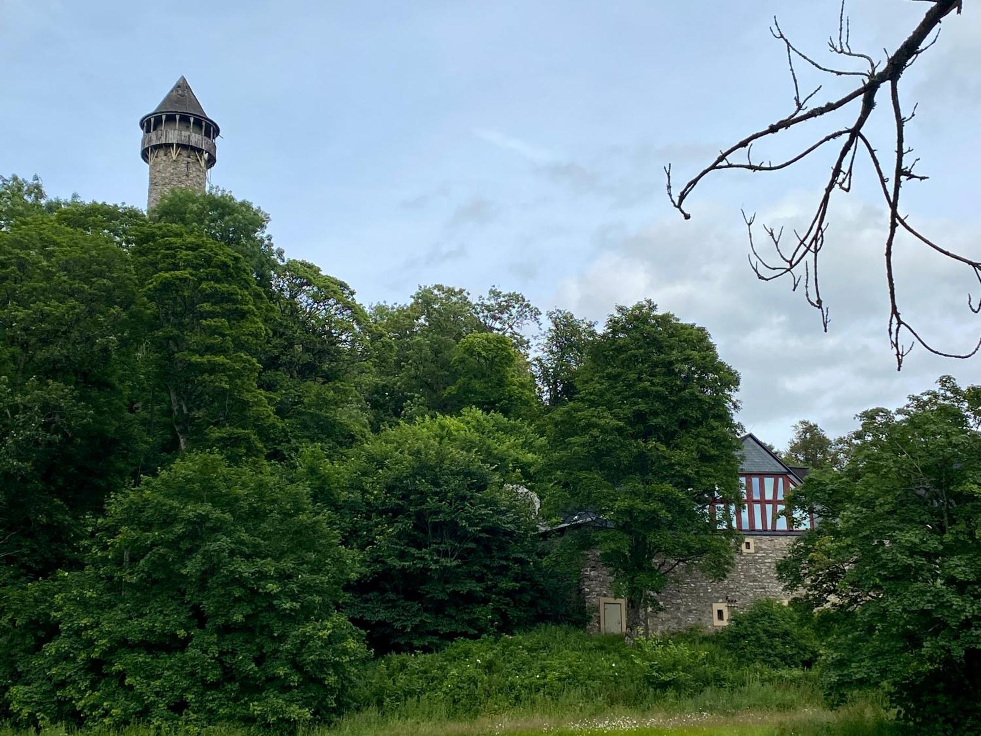 Ferienwohnung An Der Wildenburg Kempfeld Екстериор снимка